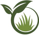 Plant Transplanting Service Pros