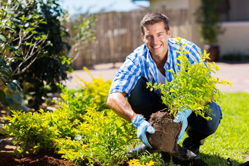 Plant Transplanting Service detail