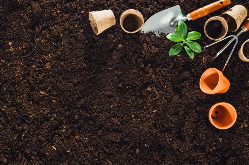 Plant Transplanting Service